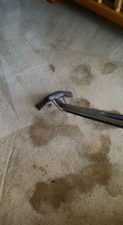 Carpet Stain Removal in Barber, North Carolina by Awards Steaming