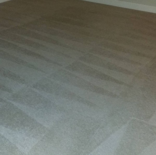 Carpet Cleaning in Kannapolis, NC (1)