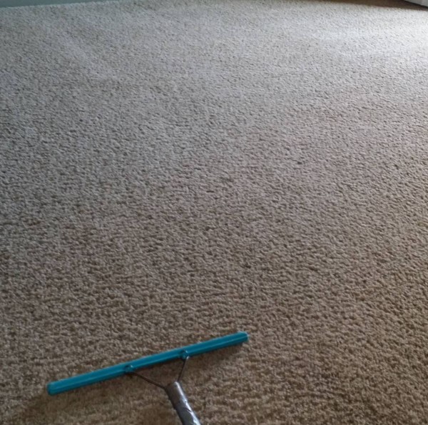 Carpet Cleaning in Matthews, NC (1)