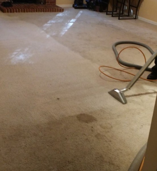 Carpet Stain Removal in Charlotte, NC (1)